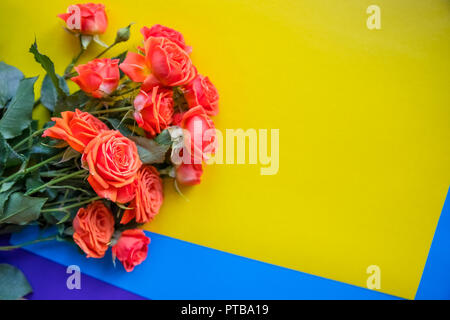 Close-up of a beautiful bouquet of orange roses. Isolated on bright colorful background. Yellow blue and purple colors as background. Beautiful roses as gigt for event, party, surprise.Selective focus. Copy space Stock Photo
