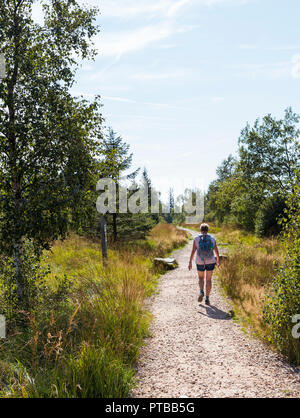 Malmedy,belgium,19-aug-2018:woman walking in the beautifull natural park of the belgium ardennes ,the ardennes is the biggest natural park in belgium Stock Photo