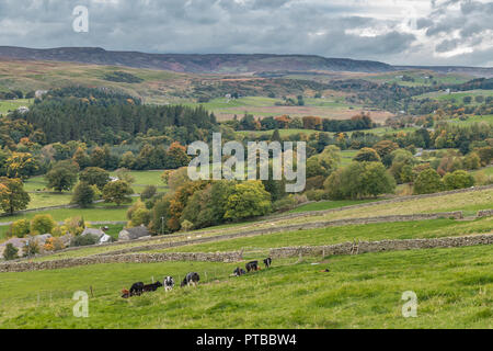 North Pennines AONB landscape, view into Upper Teesdale from Newbiggin, County Durham, UK, in autumn Stock Photo