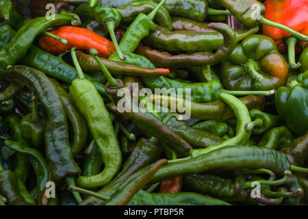 long green hot chilli peppers in a bunch Stock Photo - Alamy