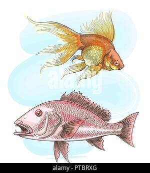 Watercolor fishes. Ink sketch fish set in fresh water color style vector illustration Stock Vector