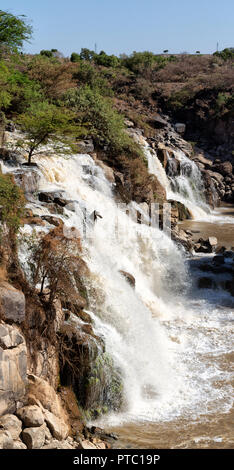 in  ethiopia africa the  awash national park  and the falls nature wild Stock Photo