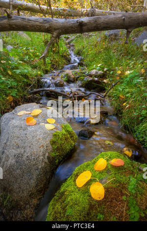 Hope Valley is accessible through Highway 89 in the Tahoe area in California. Stock Photo