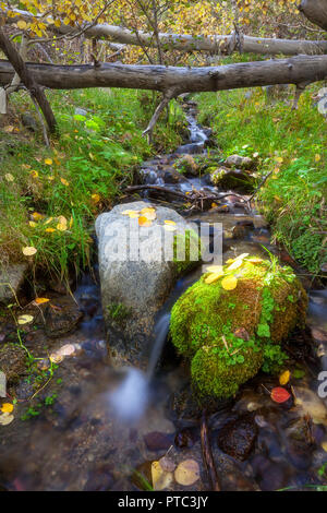 Hope Valley is accessible through Highway 89 in the Tahoe area in California. Stock Photo