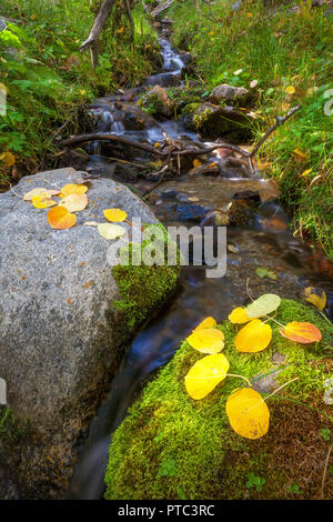 Hope Valley is accessible through Highway 89 in the Tahoe area in California. Stock Photo