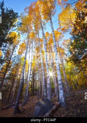 Hope Valley is accessible through Highway 89 in the Tahoe area in California. Stock Photo