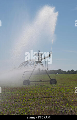 Center-pivot crop irrigation system distributes water to a corn crop in North Central Florida. Stock Photo