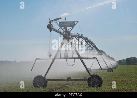 Center-pivot crop irrigation system distributes water to a corn crop in North Central Florida. Stock Photo