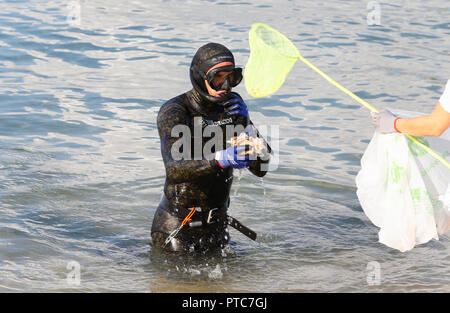 Scuba divers from different clubs meet to clean of plastics and other garbage found underwater in the beach of Portixol in Mallorca Stock Photo