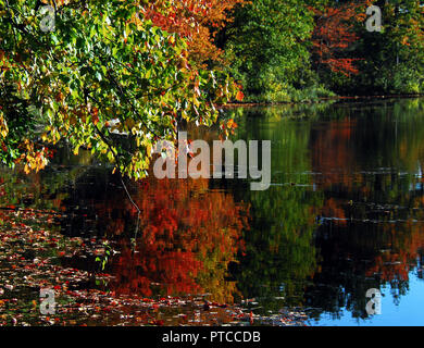 Beautifully colorful Fall trees reflected in a calm lake in New Hampshire, USA Stock Photo