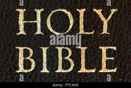 Holy Bible Printed on the The Side Panel in Embossed Gold Letters Stock Photo