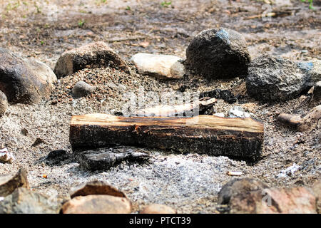 An unburnt log in a fire ring Stock Photo