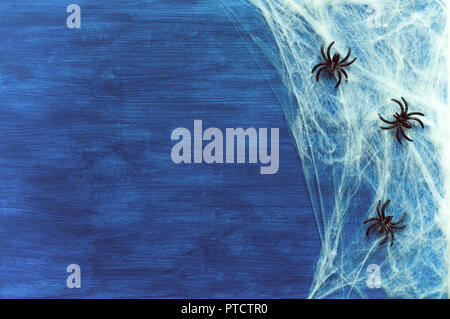 Halloween background with spider web and spiders as symbols of Halloween on the dark blue wooden background. Halloween concept Stock Photo