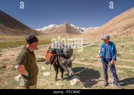 Kyrgyz herders and trekke in Keng Shiber with packed yak for trek to Bel Airyk Pass and Kara Jilga, Pamir Mountains, Gorno-Badakhshan, Tajikistan. Stock Photo