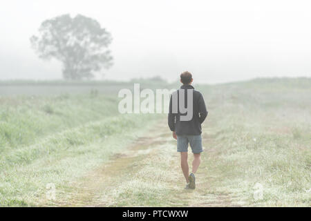 Back of young man walking in morning mist fog haze in countryside farm field on dirt road path, one tree, conceptual for hope, in summer Stock Photo