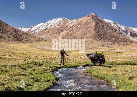 Kyrgyz herders in Keng Shiber with yak packed for expedition from Keng Shiber to Kara Jilga, Pamir Mountains, Gorno-Badakhshan, Tajikistan. Stock Photo