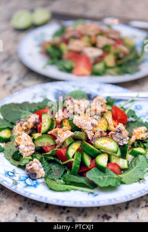 Two plates with baby kale green healthy salad with cucumbers, grape tomatoes, tempeh, chili seasoning and salt sprinkled on granite kitchen countertop Stock Photo