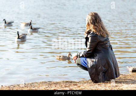 Back of young woman sitting on shore of lake, pond, river, watching wild birds, ducks, goose, geese by water during sunset, sunrise on cold day Stock Photo