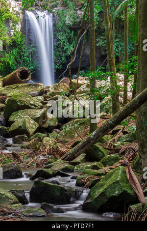 Curtis Falls located in Mount Tamborine during the day. Stock Photo