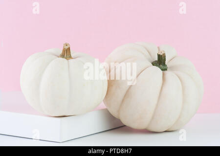 two white fall pumpkins on a pink background Stock Photo