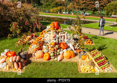 RHS Wisley Gardens, Surrey, England, UK. 9th October 2018. Wisley puts on a magnificent harvest display of Pumpkins and Squashes, in glorious warm sunshine. Credit: Tony Watson/Alamy Live News Stock Photo