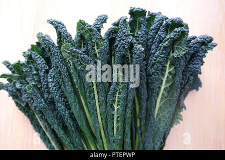 Lacinato kale or known as Tuscan Kale