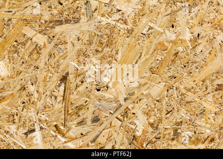 OSB boards are made of brown wood chips sanded into a wooden background. Top view of OSB wood veneer background, tight, seamless surfaces. Stock Photo