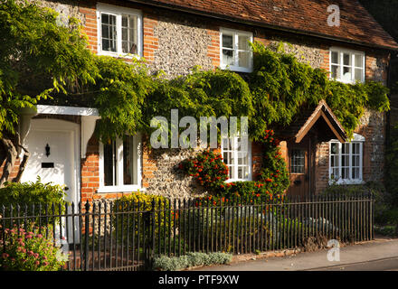 England, Berkshire, Goring on Thames, High Street, wisteria plant growing across fronts of idyllic, traditionally built cottages Stock Photo