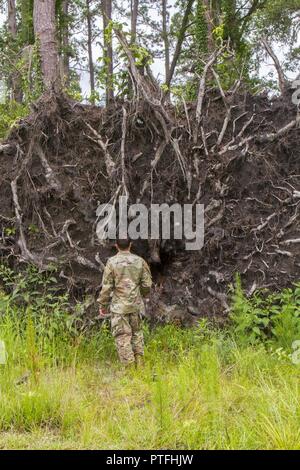 A Soldier stands next to one of the over 200 downed trees on Hunter Golf Course. After much work to clear the damage caused by Hurricane Matthew the course is in excellent condition. Stock Photo