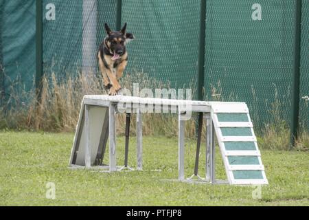 U.S. Soldiers with the 131st Military Working Dog Detachment, 615th Military Police Company, conduct dog-handler certifcation at Oberdachstetten Range Area at U.S. Army Garrison Ansbach in Bavaria, Germany, July 18, 2017. Military working dogs are trained to subdue or intimidate suspects before having to use lethal force; they are also used for detecting explosives, narcotics and other harmful materials. Stock Photo