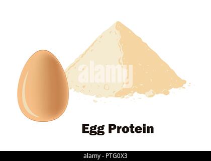 Egg protein powder and the whole egg. Vector illustration. Bodybuilding supplement concept. Stock Vector