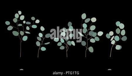 Hand painted silver dollar eucalyptus elements. Floral illustration with round leaves and branches isolated on black background. For design and textil Stock Vector