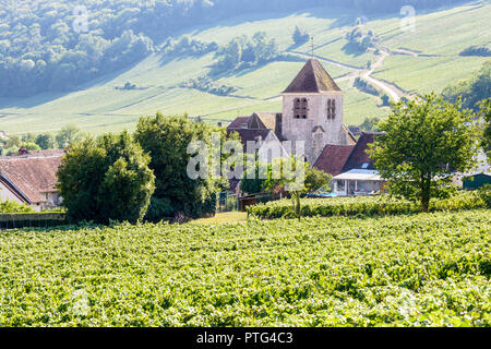 View over the small village of Bonneil, France, and its medieval steeple in the Champagne vineyard with rows of grapevine in the foreground. Stock Photo