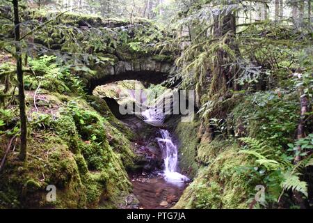 Noble grave waterfalls in the Black Forest Baden-Wuerttemberg Stock Photo