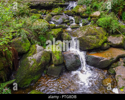 Noble grave waterfalls in the Black Forest Baden-Wuerttemberg Stock Photo