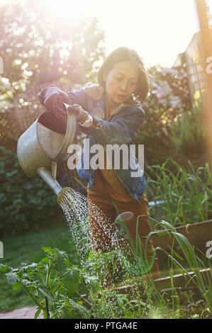 Active senior woman gardening, watering plants Stock Photo