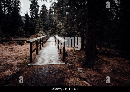 A wooden bridge leads across a marsh in a wooded area Stock Photo