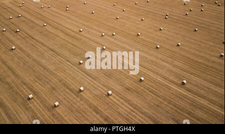 Bales of hay from the air in a beautifully harvested field. Stock Photo