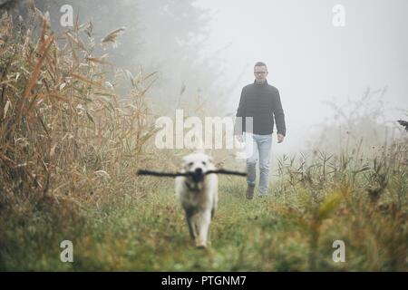 Young man playing with dog (labrador retriever) in autumn foggy morning. Stock Photo