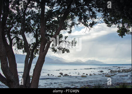 Kaikoura landscape, Canterbury, New Zealand: Tree silhouette frames beautiful coastal landscape, rocky foreground and view to distant mountains. Stock Photo