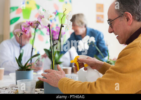 Active senior man with spray bottle watering orchid in flower arranging class Stock Photo