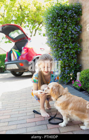 Girl giving treat to dog in driveway Stock Photo