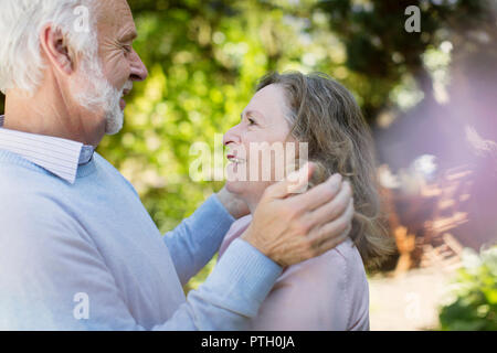 Affectionate senior couple hugging Stock Photo