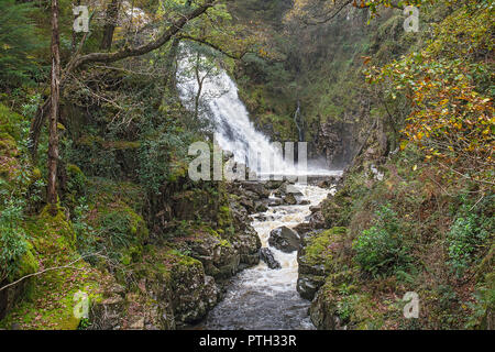 Pistyll Cain waterfall on the Afon (River) Gain in the Coed y Brenin Forest near Dolgellau Snowdonia National Park North Wales UK October 3330 Stock Photo