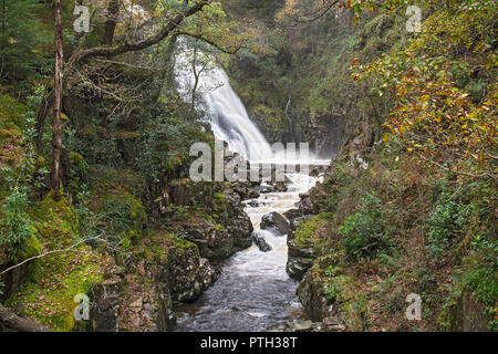 Pistyll Cain waterfall on the Afon (River) Gain in the Coed y Brenin Forest near Dolgellau Snowdonia National Park North Wales UK October 3345 Stock Photo