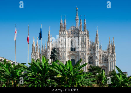 Italy. Lombardy, Milan, Piazza Duomo Square, Palm Trees Stock Photo