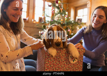 Mother and daughter playing with dog in Christmas gift box Stock Photo