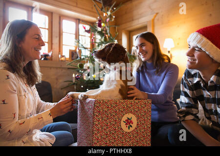 Happy family with dog in Christmas gift box Stock Photo