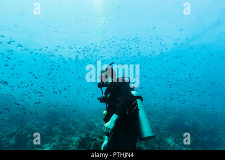 Man scuba diving underwater among school of fish, Vava'u, Tonga, Pacific Ocean Stock Photo