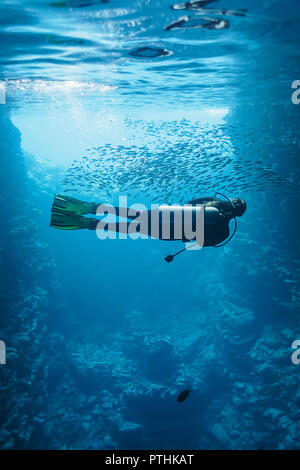 Young woman scuba diving underwater among school of fish, Vava'u, Tonga, Pacific Ocean Stock Photo